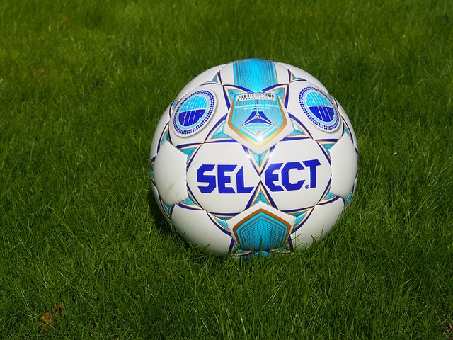 表现不仅提 表现不仅提