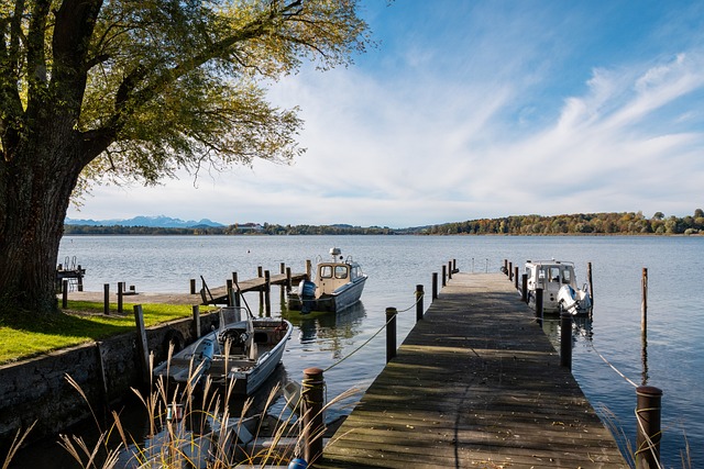 在目前的排 在目前的排