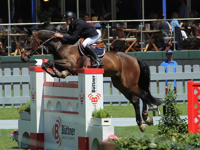 他将探索新 他将探索新